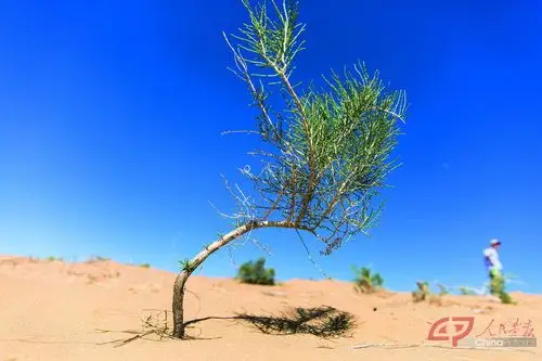 25年增加60亿立方米,中国为什么有底气?