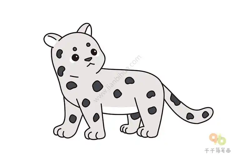 雪豹简笔画教程