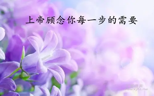 新剪纸,灵性的审美