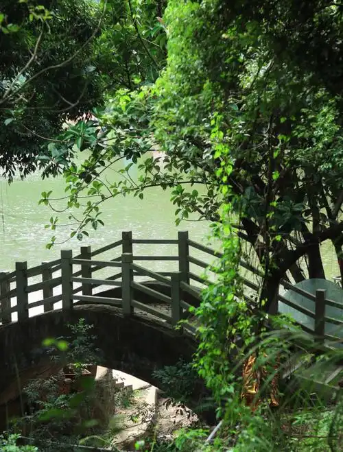 没想到塘厦还有一个这么大的公园