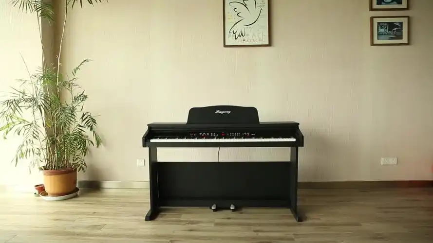 吟飞(ringway)立式电钢琴88键dp-10成人家用专业考级电子数码钢琴初学