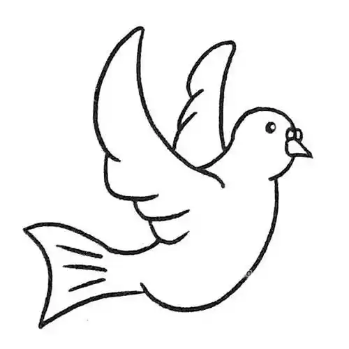 鸽子简笔画 鸽子简笔画简单漂亮