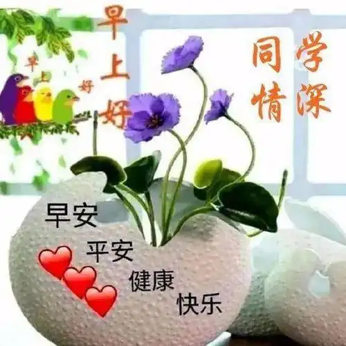 老同学早上好问候祝福图片带字_阳光