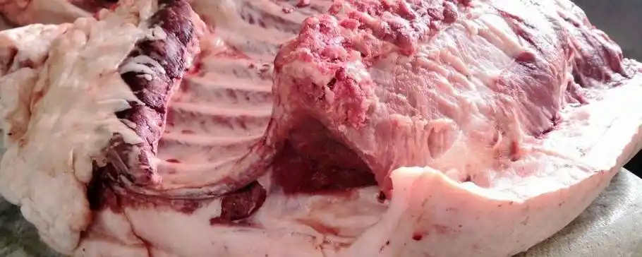 100克猪肉有多少脂肪