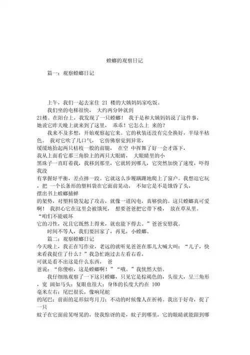 螳螂的观察日记