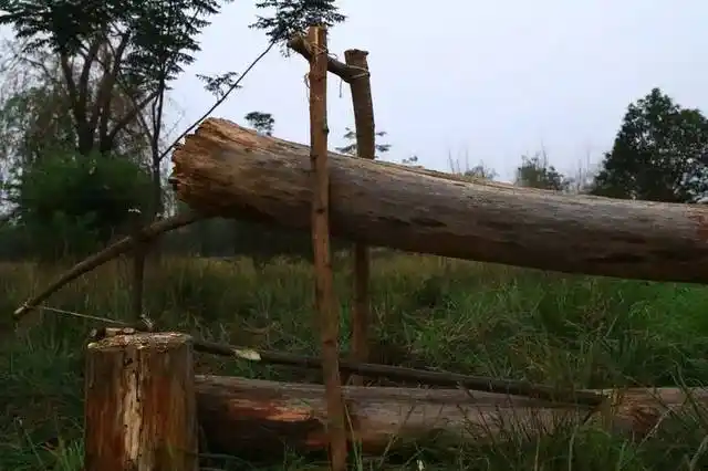 课堂野外生存之捕猎陷阱实战篇