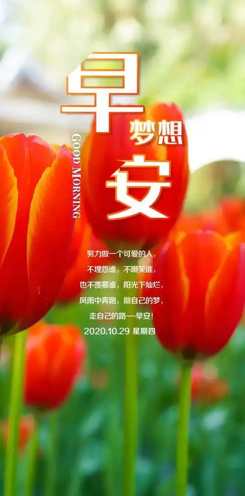 10月29日早安心语正能量优美的语句经典唯美早上好图片带字正能量