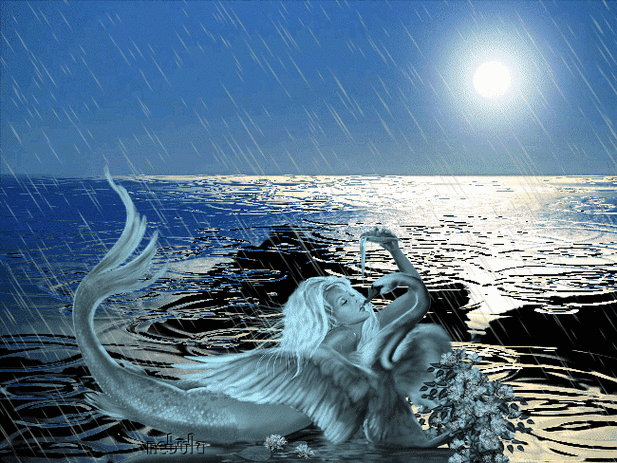 【本博精典素材篇】精美的静动态美人鱼