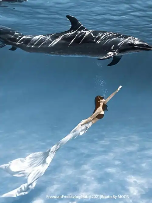 海豚馆拍美人鱼是一种什么感觉来看看吧