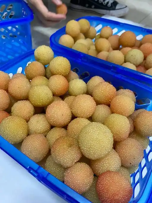 水晶杨梅稀缺货