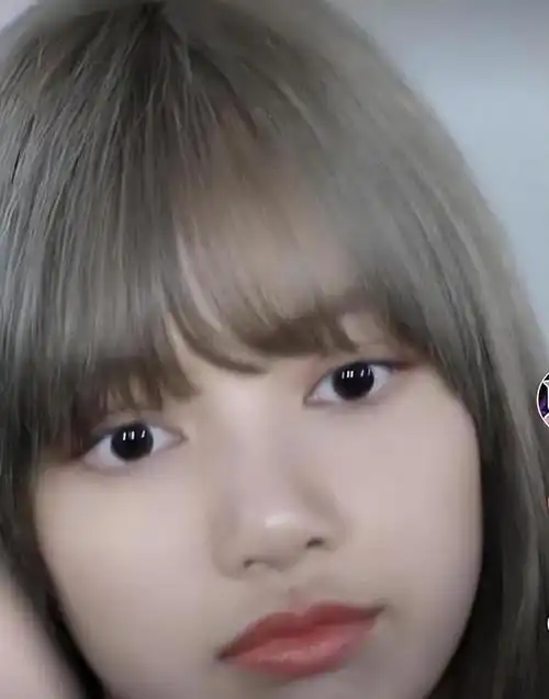 lisa又被网友喷长得太丑,这样一想,她到底是为什么出道的啊?