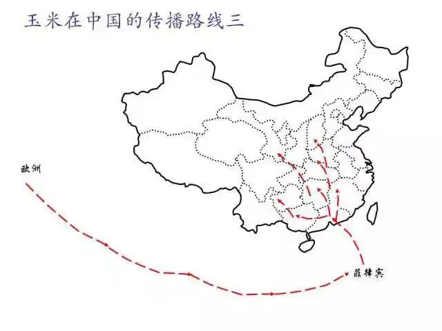 中国玉米发展概况19002000年这100年的玉米大事件