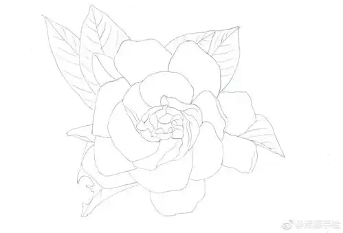 栀子花,永恒的爱与约定投稿(@泽源手绘) 67