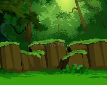 茂密的森林图片