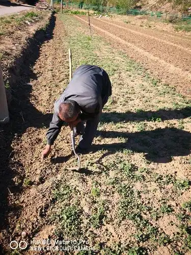 锄禾日当午,还是农民苦