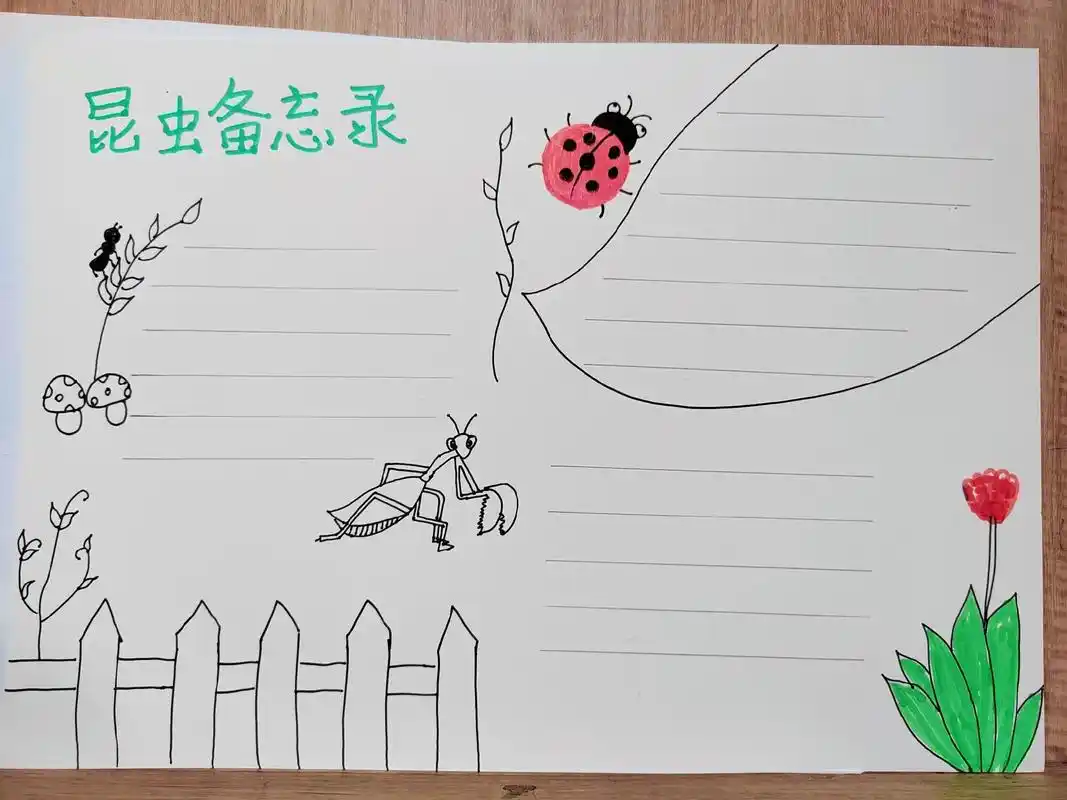 三年级暑假作业,昆虫备忘录,保存一下,老二说不定还用得到98 - 抖音