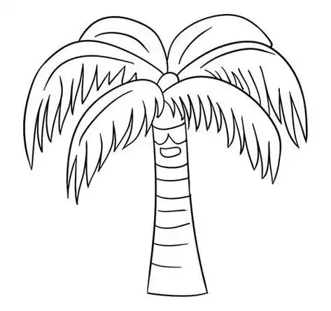 简笔画椰子树简笔画椰子树涂色