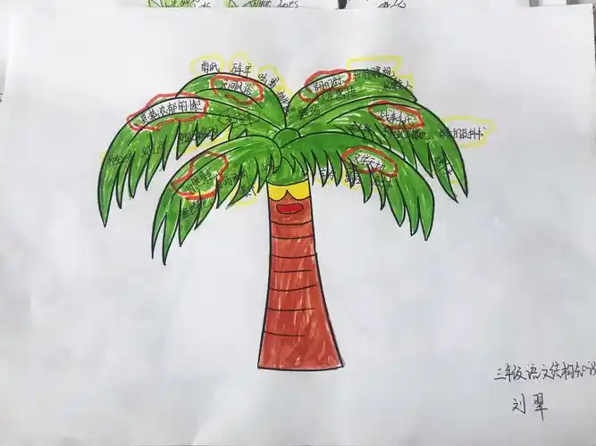 三年级语文老师刘翠的知识树