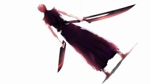 死神 bleach壁纸【45】壁纸是一款电脑壁