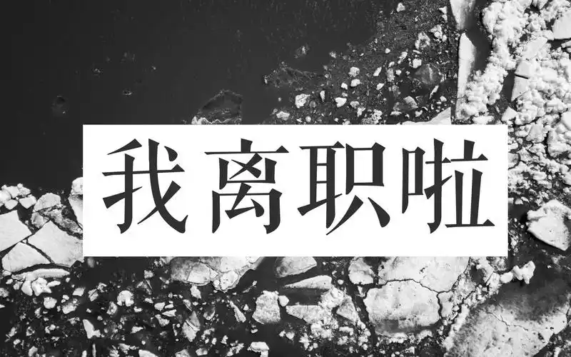 我离职啦 | 第一次露脸 | 离职决定的思考与总结 | 新工作的展望