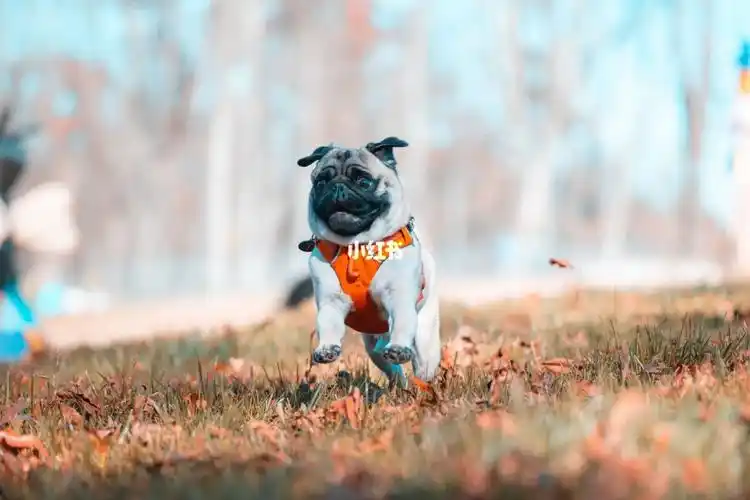 跌跌撞撞奔向你78