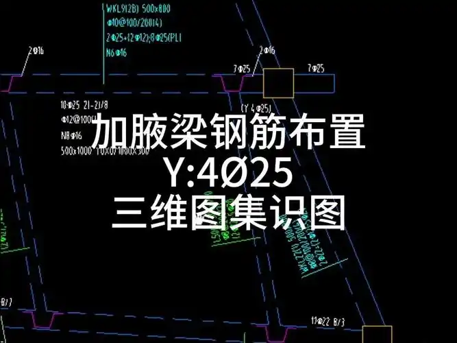 加腋梁钢筋布置y40125三维图集识图