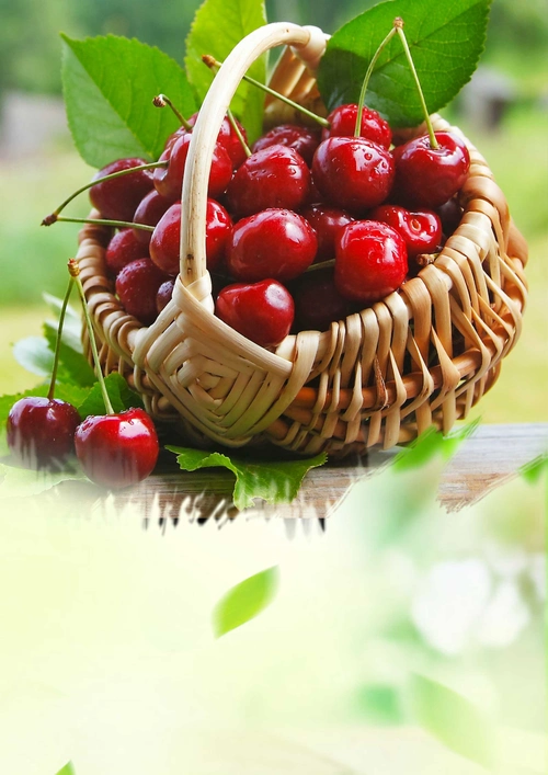 简洁夏日樱桃水果宣传海报