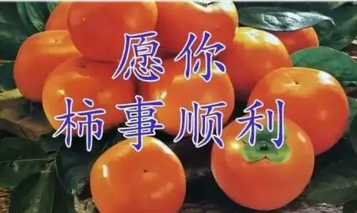 今天是12,8, 百年难遇的好运日, 愿你一生好运不断, 赶紧打开看看!