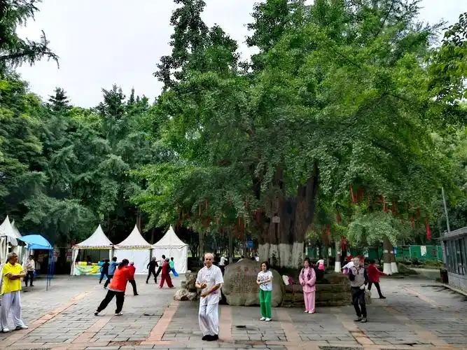 百花潭公园成都主城区里的天然盆景园林是成都人游玩的绝佳地