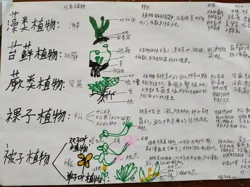 形形色色的植物