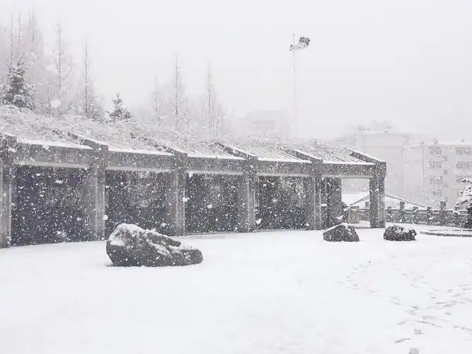 春天的丹东下起一场鹅毛大雪