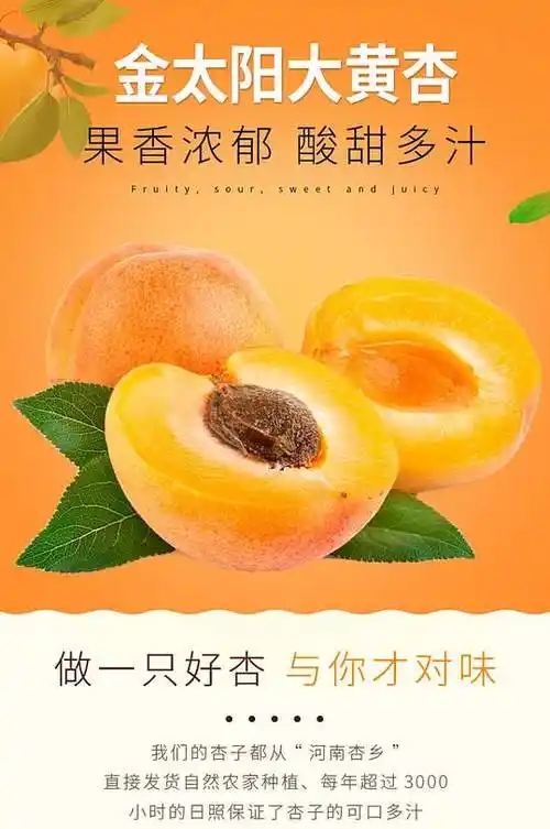 天猫淘宝详情页金太阳大黄杏