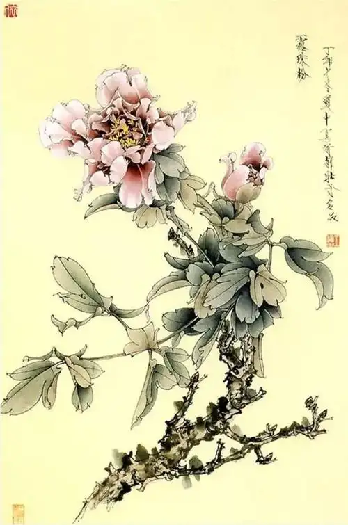 涨知识丨王道中谈如何画工笔牡丹_网易订阅