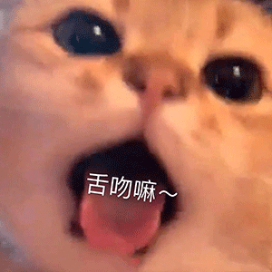 40张撩人表情包:在吗?出来谈恋爱!