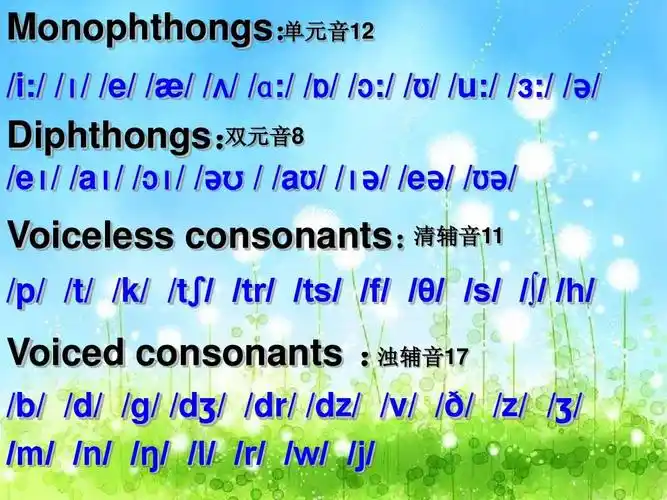æ / / / /ɑ:/ / / / :/ / / /u:/ / :/ / / 双元音8 diphthongs