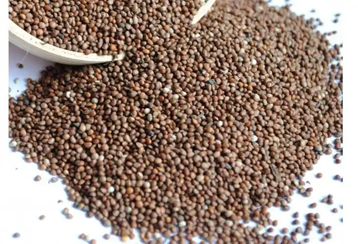 熟苏子粒东北熟苏子紫苏子紫苏籽熟苏子粒500g【图片 价格 品牌 报价