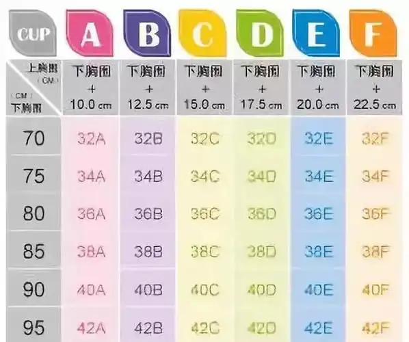 d罩杯真的很大吗?内衣穿不对会毁了你的胸!_地方