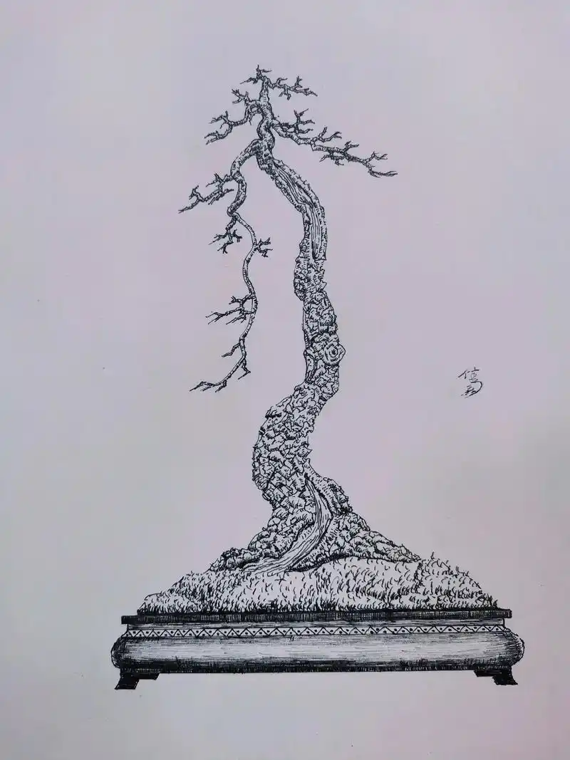 手绘盆景设计.#手绘盆景设计#园艺 #盆景 #盆景设计  - 抖音