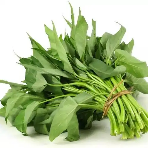 空心菜好好吃啊