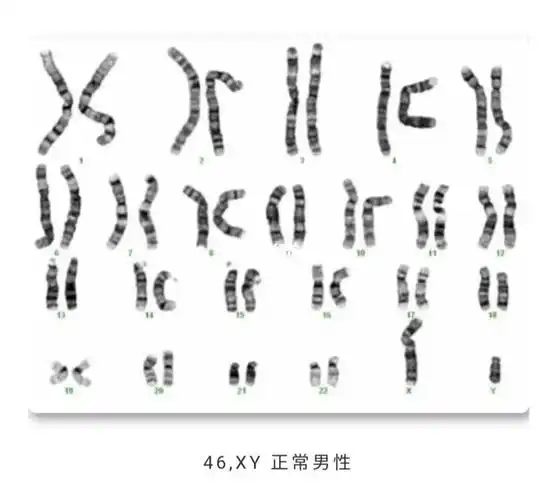 染色体的各个符号代表什么?