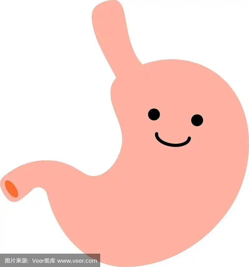 可爱的胃的插图