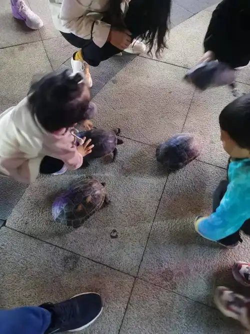 孙子养的宠物咬人,老人带到河边放生却被人阻止,咋回事?