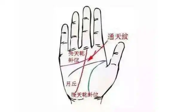 手相丨神秘的通天纹,有此纹者事业,富贵自天来