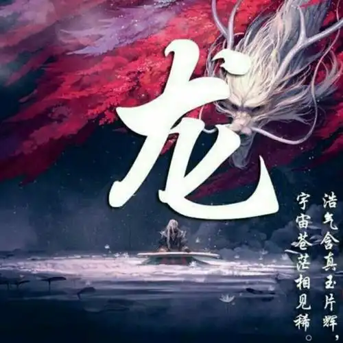 龙的传人中国的精英