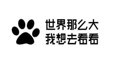 湖南卷 世界那么大我想去看看