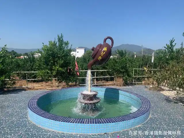 门前的聚财水盆