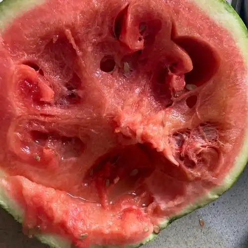 > 麒麟西瓜4000g商品评价 > 烂的,***