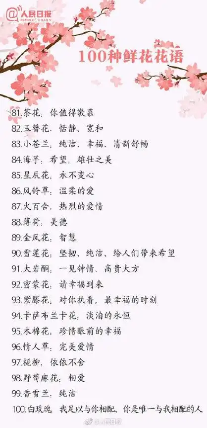 花语大全50种花的花语伤感,100种花花语大全