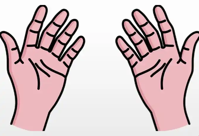 两种思路 1,左右手对照看任务 完成接受一个整数的函数,并返回计数