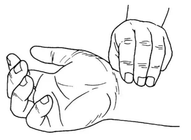 中医诊断学之寸口脉